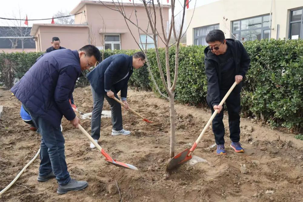 中电建冀交高投乐动(中国)积极开展植树节活动